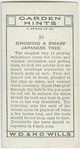 Growing a dwarf japanese tree.