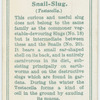 Snail-slug.