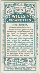 Red spider.