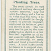 Planting trees.
