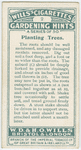 Planting trees.