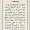Cuttings.