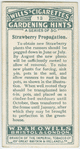 Strawberry propagation.