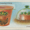 Simple propaggators.