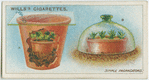 Simple propaggators.