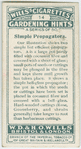 Simple propaggators.