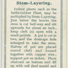 Stem-layering.