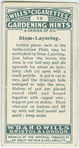 Stem-layering.