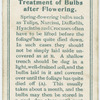 Treatment of bulbs after flowering.