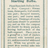 Starting bulbs.