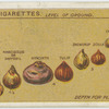 Depth for planting bulbs.