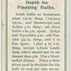 Depth for planting bulbs.