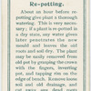 Re-potting.