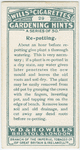 Re-potting.