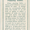 Planting bulbs.