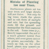 Mistake of planting too near trees.
