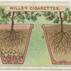Potting.