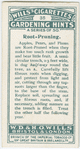 Root-pruning.