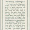 Planting asparagus.