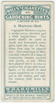 A marrow-bed.
