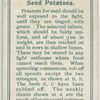 Seed potatoes.
