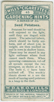 Seed potatoes.