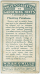 Planting potatoes.