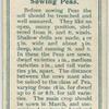 Sowing peas.