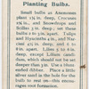 Depth of planting bulbs.