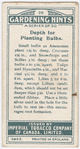 Depth of planting bulbs.