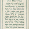 treatment of bulbs after flowering.