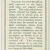 Seed potatoes.
