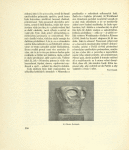 H. Obrist: Květináč.