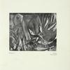 G. Kars: Ryby = Poissons