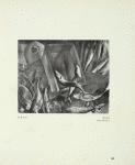 G. Kars: Ryby = Poissons