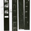Contact sheet #8