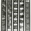 Contact sheet #11