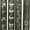 Contact sheet #10