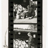 Contact sheet #12