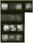 Contact sheet