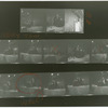 Contact sheet #10