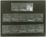 Contact sheet #10
