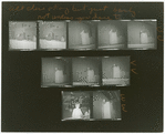 Contact sheet #11