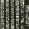 Contact sheet