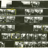 Contact sheet