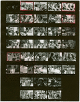 Contact sheet #3