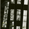 Contact sheet #2