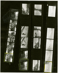 Contact sheet #2