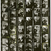Contact sheet #4