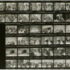 Contact sheet #2